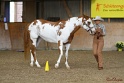 23-APHA SS_048
